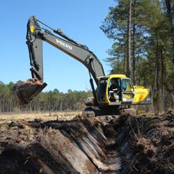 travaux de pelle en foret
